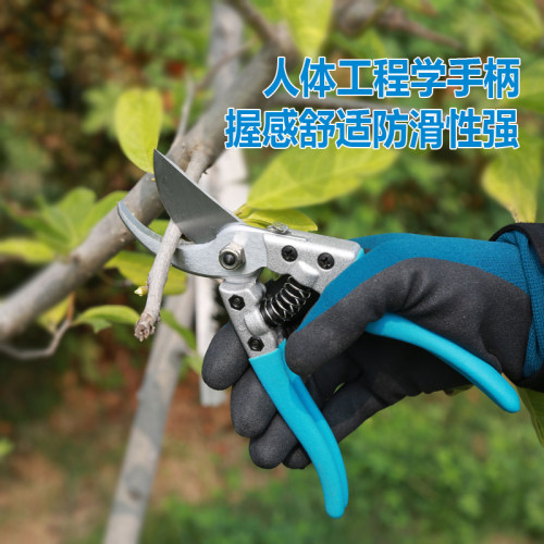 安藤台湾粗枝剪园艺剪刀园林剪果树专用剪果树修枝剪刀 - 图1