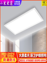 Integrated ceiling LED light kitchen bathroom toilet toilet 300600 suction ceiling lamp panel light ceiling flush