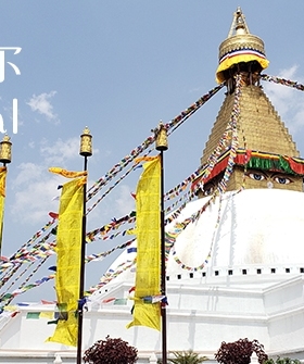 尼泊尔精品释迦牟尼佛 带背光底座 释迦摩尼铜鎏金摆件 高度53cm