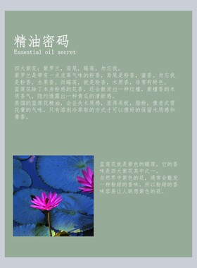 天然蓝莲花花单方精油 紫色睡莲 还原香水调香纯正5ml植物香氛