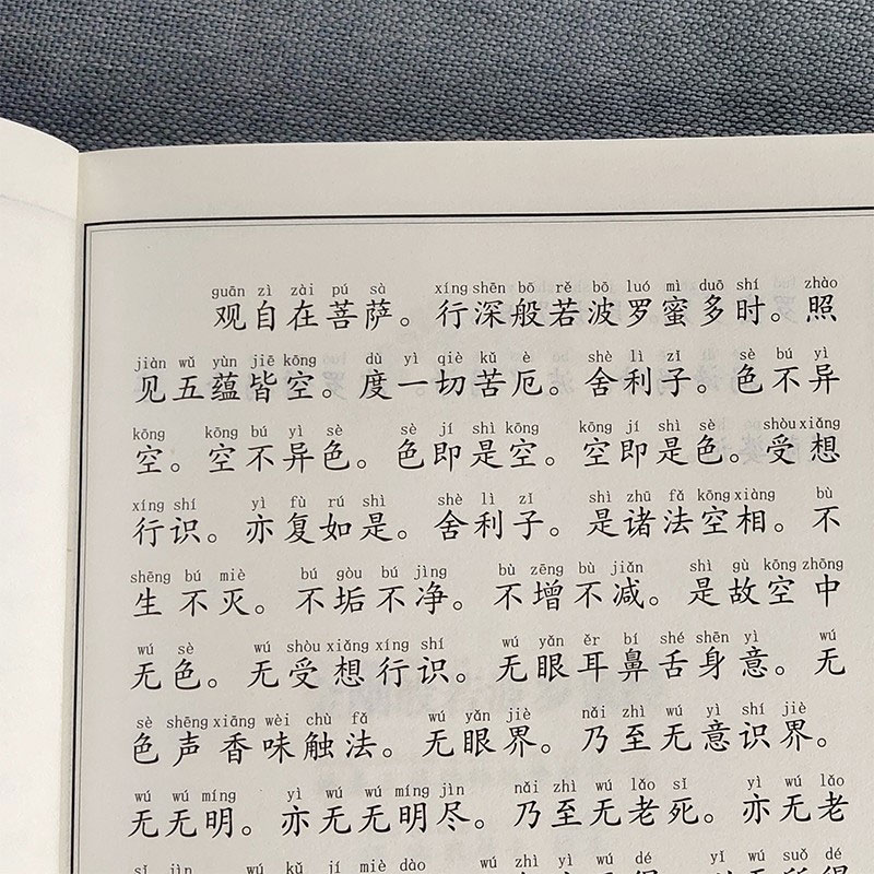 心经金刚经 大字注音 国学经典诵读本横排简体国学经典书籍畅销书中国传统文化儒释道经典儒家心理与修养成功励志传统文化入门书籍 - 图2