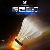 Kloswe Badminton подлинный и патто -борьба с гусиным гусей нелегко, чтобы гнить соревнование по тренировке.