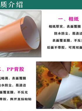 竹报平安竹子竹林绿色风景画