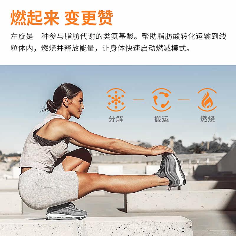  炫活力保健品左旋肉碱