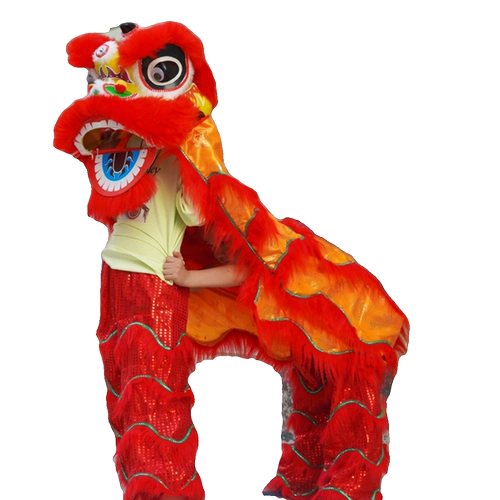 Вы можете мигать по танцу льва, ребенок разбудит львиную шерсть, национальный ветер, один игрок играет в детском саду школы