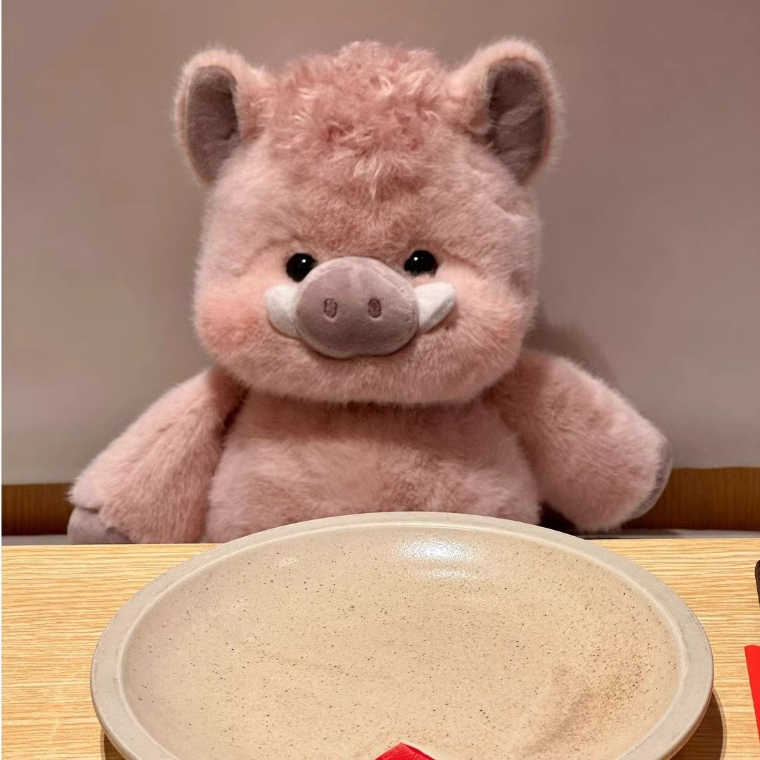 抖音小猪玩偶幼崽c十二生肖小香猪野猪玩偶毛绒玩具跑跑公仔娃娃,淘宝优惠券,粉丝福利购,淘宝优惠卷