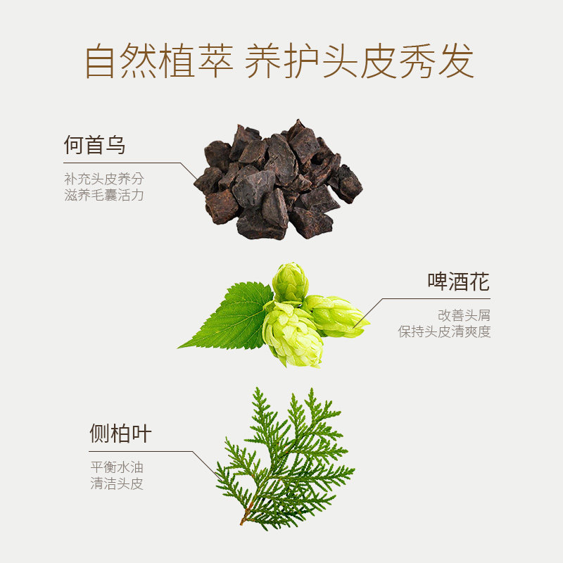 begirl防脱发控油蓬松何首乌洗发水 begirl洗发水