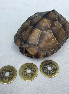 速发龟壳工卦摇具富甲天下六爻卦具铜乌居壳铜钱六十四卦工具家龟