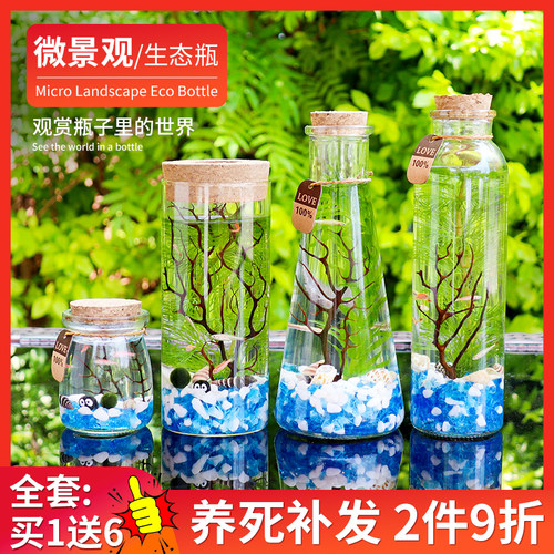 观赏鱼生态瓶微景观免换水diy水族箱办公桌面创意造景斗鱼玻璃缸 - 图0