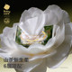 Babycare cream paper 6 layers camellia moisturizing paper towels