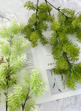仿真花蓬莱松绿植胖松草