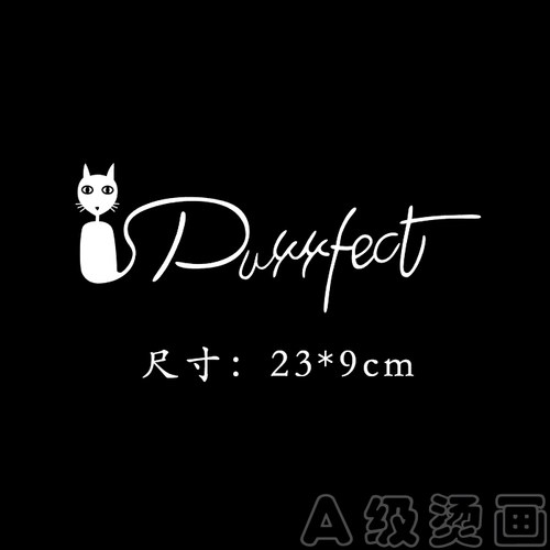 热转印猫咪线条字母图案衣服贴柯式A级过粉耐水洗胶印烫画装饰贴 - 图2