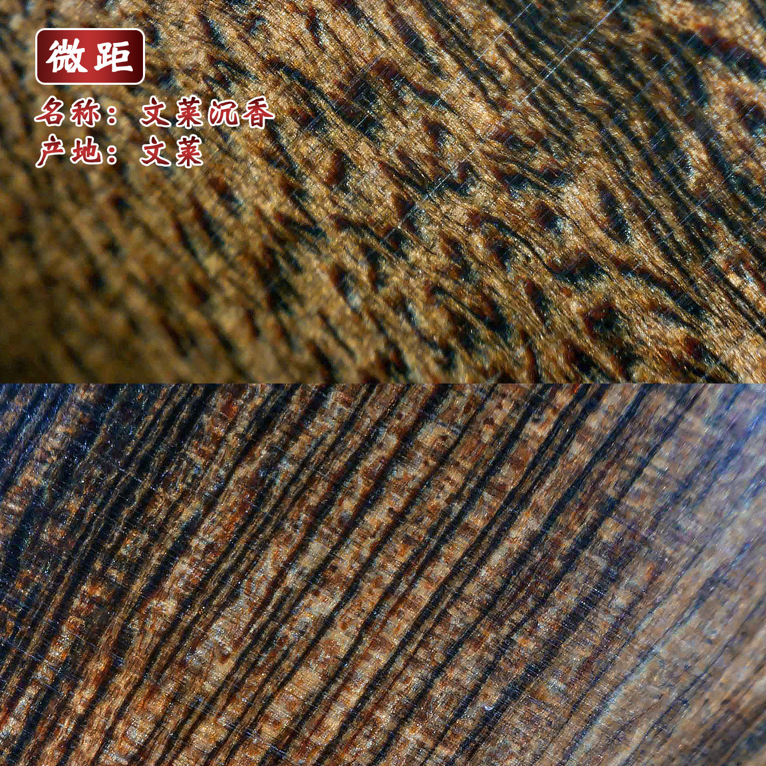Fidelity submerged old material Brunei agarwood finger ring collection