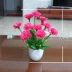 Trang chủ phòng khách giả hoa mô phỏng trang trí hoa bó hoa lụa hoa nhựa chậu hoa xem bộ đồ trang trí đầy sao - Trang trí nội thất
