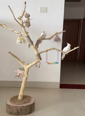 现货速发装干树枝原杈干枯鸟型架木造鹦鹉站架M艺术干枝木树干架