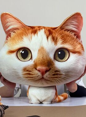 仿真大头猫咪玩偶挂件钥匙扣抱枕