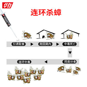 华力杀蟑胶饵剂6g/支装家用长效杀蟑螂药全窝端杀灭爬虫非无毒型