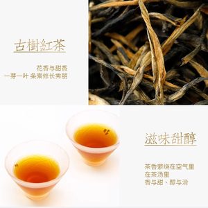 雨林古树茶 2024年1600经典古树红茶 云南高山滇红50g官方正品