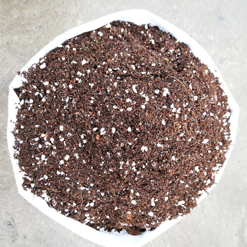 大包椰糠泥炭营养土家庭园艺肥料通用型多肉种花种菜绿萝土种植土,淘宝优惠券,粉丝福利购,淘宝优惠卷