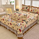 Autumn and winter milk velvet bed cover four-piece set thickened quilted skirt
