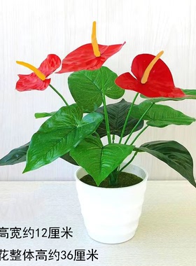 仿真绿植大红掌装饰室内外摆设品