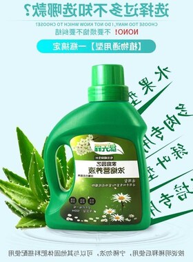 Money plant bracketplant special fertilizer nutrient