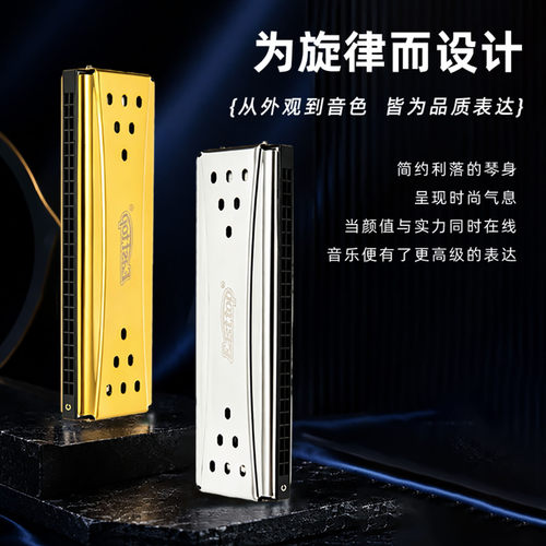 EASTTOP东方鼎双面双调口琴24孔复音C G 调 - 图1