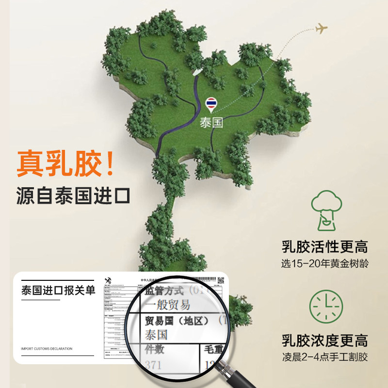 福满园泰国乳胶枕头枕芯护颈椎睡眠单人学生宿舍一对装记忆枕