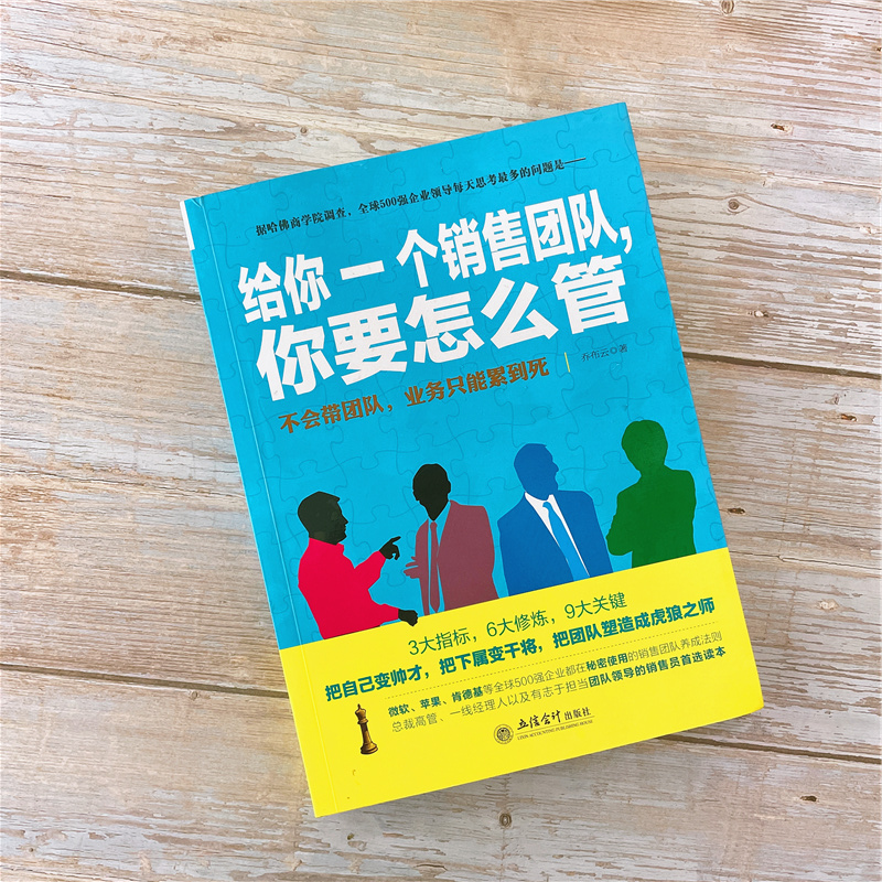 【3本38元】去梯言给你一个销售团队你要怎么管乔布云著创业销售经理管理沟通工作方法领导学领导力执行力经营企业管理书籍jg-图0