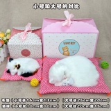 Кукла, модель животного, плюшевая игрушка, кот, котенок, подарок на день рождения