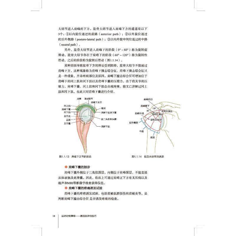 运动功能障碍原因及评估技巧 各个关节临床常见得各种疼痛从而做出正确评估 颈部和胸腰部 工藤慎太郎编著 北京科学技术出版社