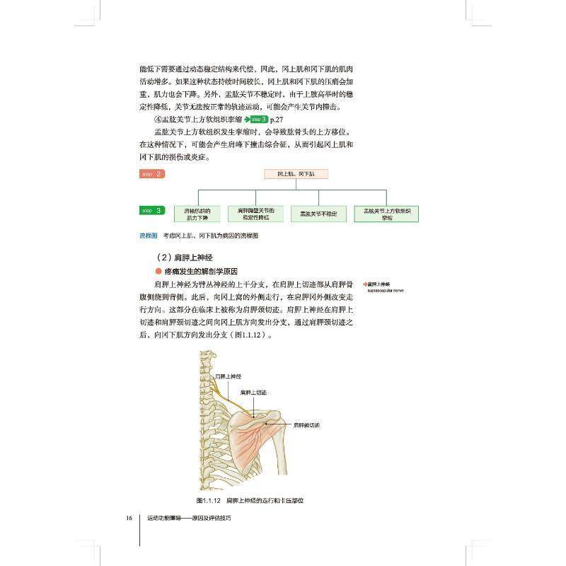 运动功能障碍原因及评估技巧 各个关节临床常见得各种疼痛从而做出正确评估 颈部和胸腰部 工藤慎太郎编著 北京科学技术出版社
