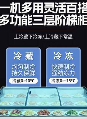 三层阶梯式冷藏冷冻商用展示柜卤菜凉菜阶梯冰台保鲜展示柜点菜柜
