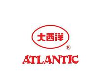 Atlantic ER316L stainless steel welding wire 316 argon arc welding straight wire White steel 1 2 1 6 2 5 0 2