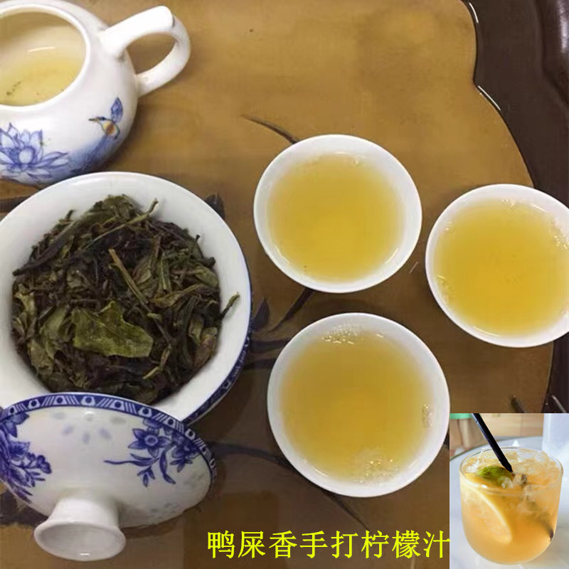 潮州凤凰单枞茶乌岽高山鸭屎香茶头清香特级蜜兰香浓香500g茶头 - 图1