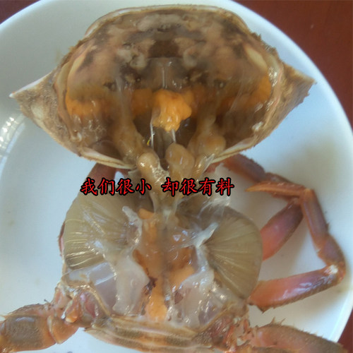 花盖蟹鲜活小款花盖蟹石闸蟹新鲜海鲜水产石头蟹三斤包邮 - 图0