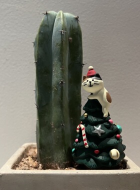 猫猫圣诞树礼物圣诞节装饰摆件