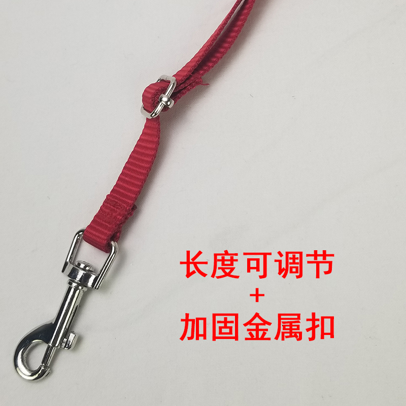 宠物美容台吊绳狗洗澡神器固定狗狗猫用品支架吊杆吹狗剪毛修型桌,淘宝优惠券,粉丝福利购,淘宝优惠卷