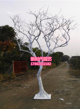 白树枝干枝枯树白色树橱窗展厅装饰树婚庆摄影道具艺术树干树枝