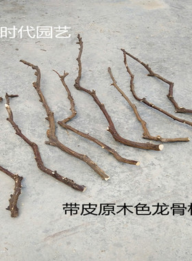 天然干树枝装饰树枝枯枝白树枝造型树枝橱窗道具树枝枯树枝干枝