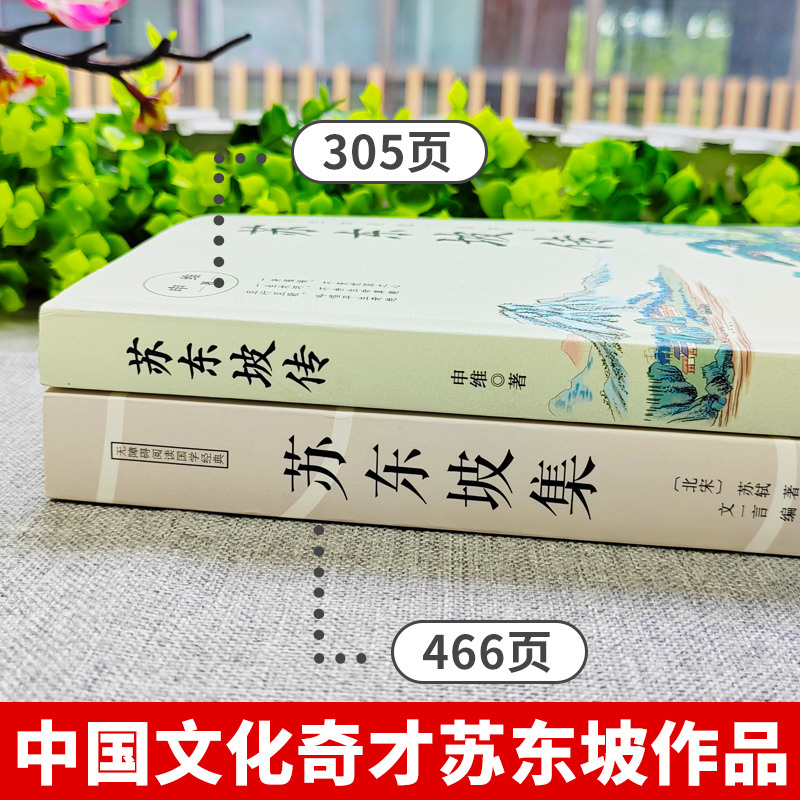 正版2册 苏东坡传+苏东坡集 人生如逆旅我亦是行人 额尔古纳河右岸 中国古诗词鉴赏国学历史名人物传记初中生八课外书籍苏东坡新传 - 图1