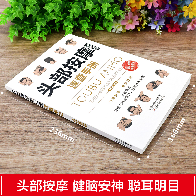 35元任选5本理疗书籍头部按摩治百病速查手册经典彩图版调和气血通经络平衡阴阳免疫高简单经济效果安全可靠疾病按摩疗法中医养生-图0