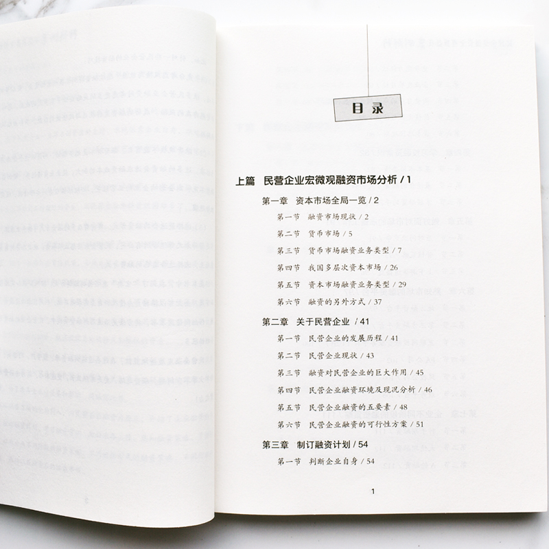 正版 民营企业融资全程操盘及案例解析 民营企业融资策略指南私企上市企业融资股权债权融资投资技巧 股权激励合伙人制度企业管理 - 图2