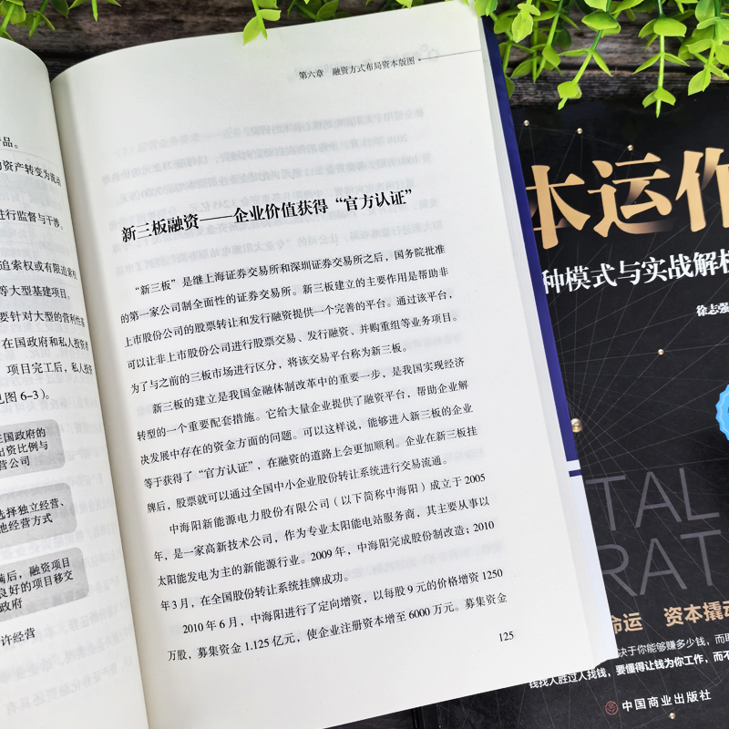 正版2册 融资全案做一家值钱的公司 资本运作30种模式与实战解析 王永红著 商业模式是设计出来的 公司股权架构激励企业管理类书籍 - 图2