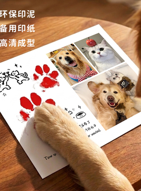 宠物纪念照片相框摆台猫狗离世