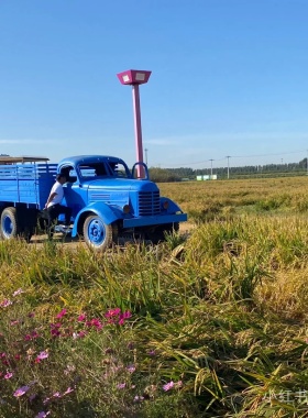 恒泰铁艺铁网红拍照老式复古摆件