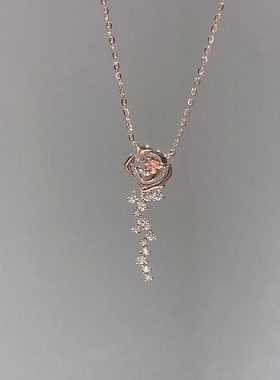 S999银小王子与玫瑰花项链女韩版个性轻奢小众设计感新款锁骨链