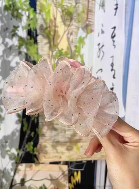 抖音爆款满天星泡泡抓夹亚克力发饰气质复古百搭欧根纱黑色发夹