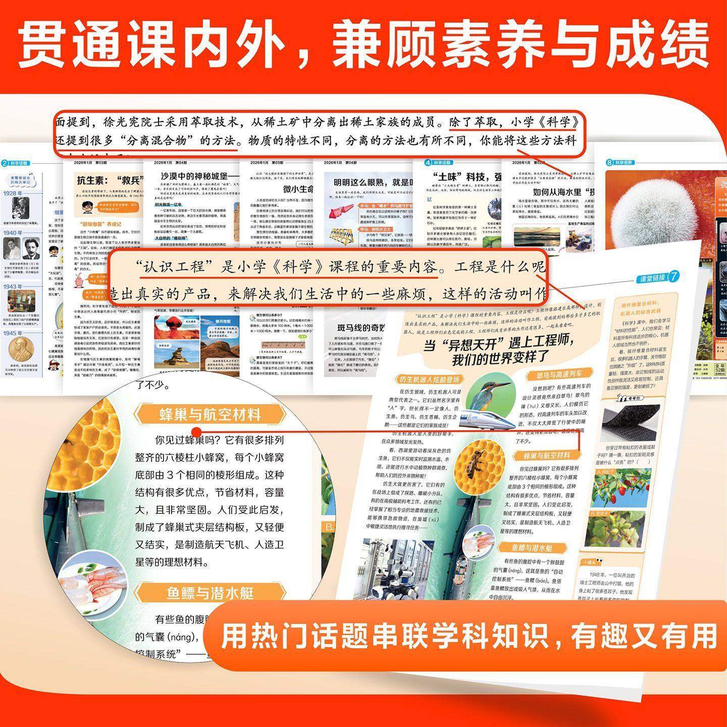 少年科普报科学知识画报2026春季订阅共52期8-15岁小学生大语文知识画报纸一二三四五六年级课外阅读书籍人教版百科全书天星教育下,淘宝优惠券,粉丝福利购,淘宝优惠卷