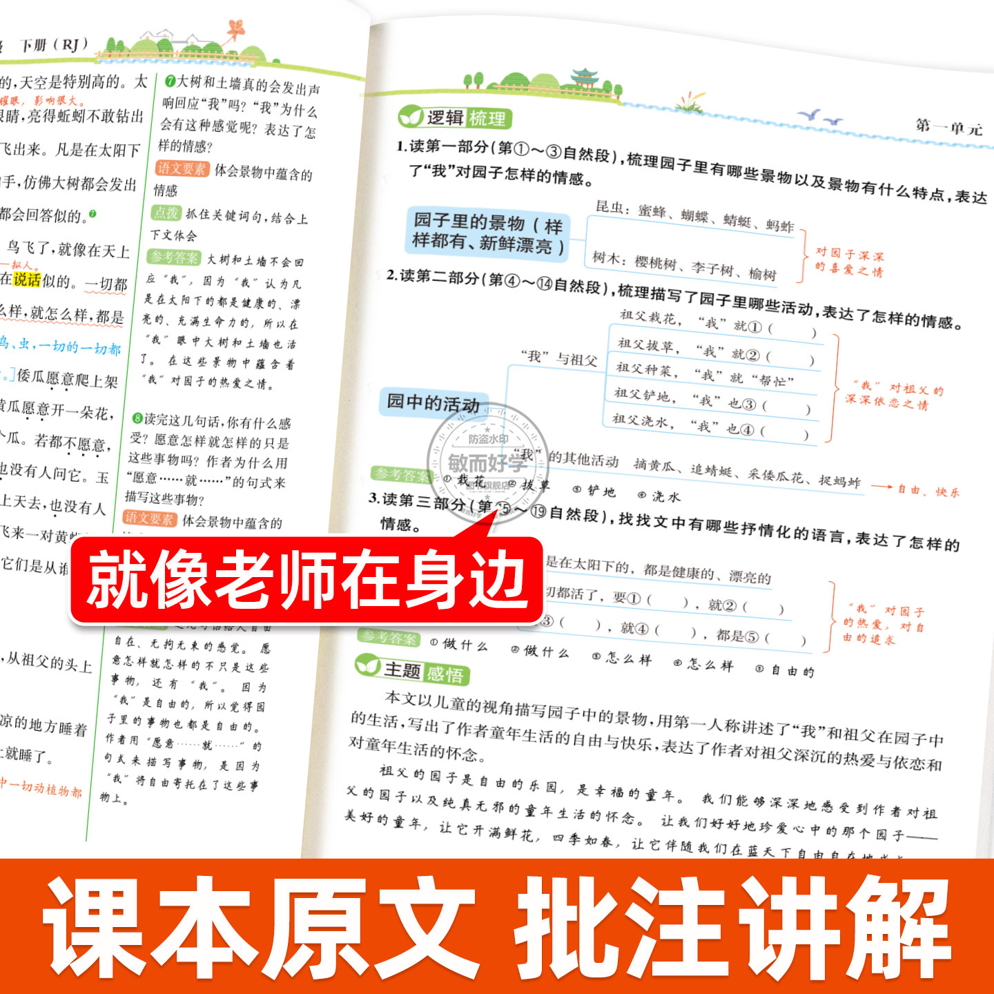 2024新版教材解读一二三四五六年级上册下册 语文数学英语下上 人教北师大版小学教材全解课文同步解析课堂笔记教辅书教学教师用书